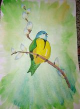 Ишимиова Катя. Якутия